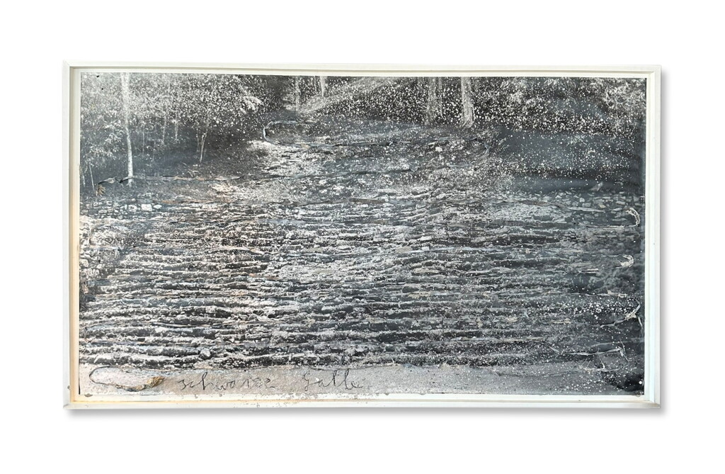 View full screen - View 1 of Lot 245. Schwarze Galle.