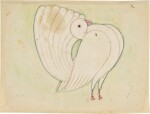 A fancy pigeon, North India, probably Rajasthan, late 18th/early 19th century