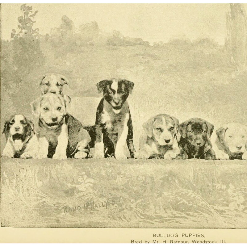 Cover image 0