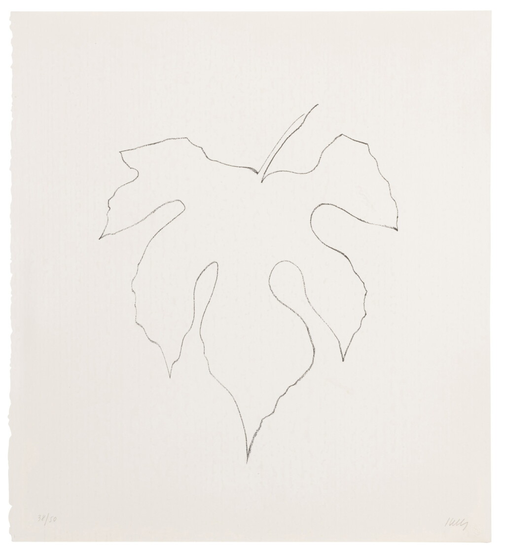 View full screen - View 1 of Lot 177. Wild Grape Leaf (Axsom 191).