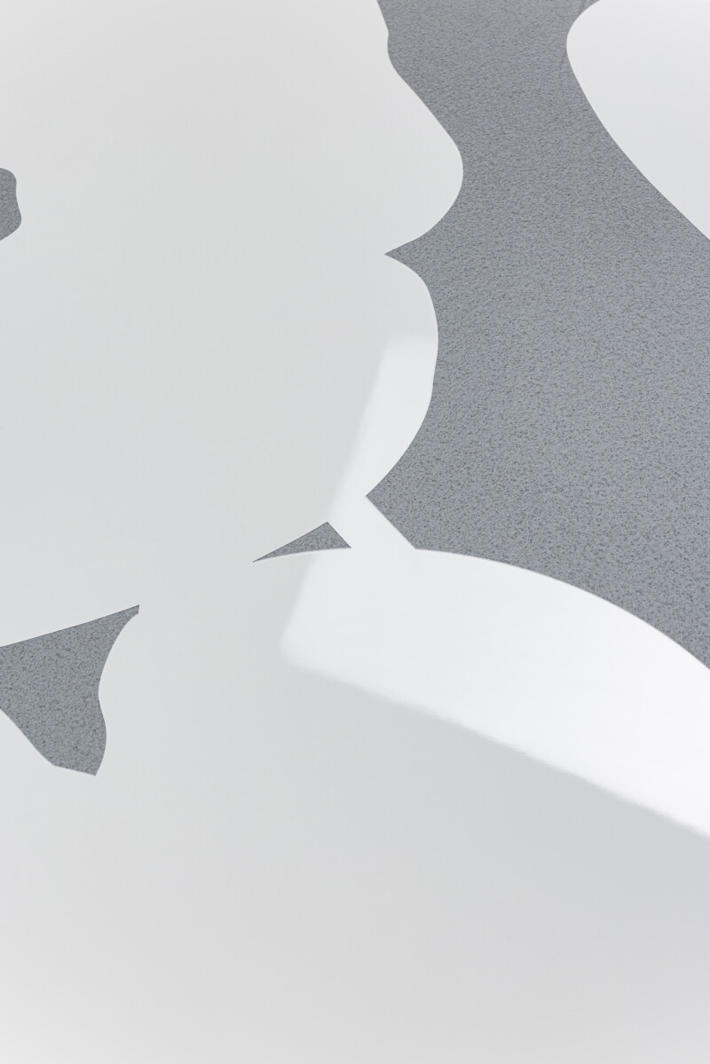 Cover image 0