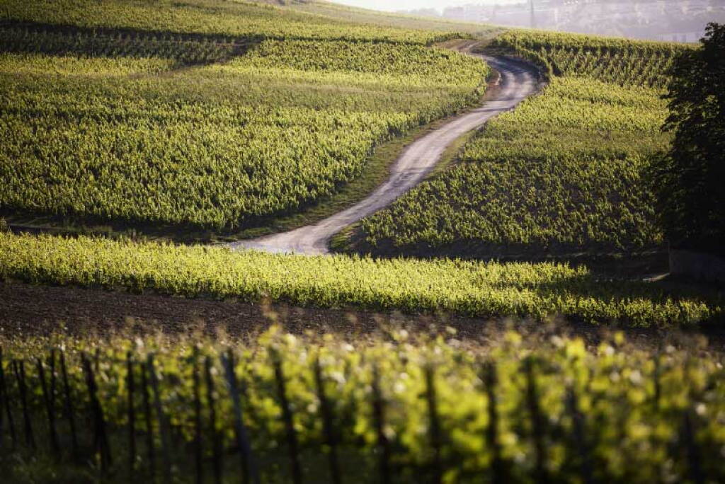 View full screen - View 1 of Lot 432. Taittinger, Comtes de Champagne, Blanc de Blancs 2008 (6 BT).