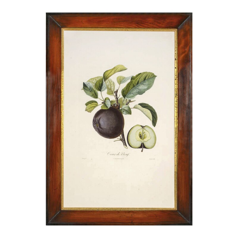 Cover image 0