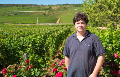 View full screen - View 1 of Lot 250. Grands Echézeaux 2017 Domaine Georges Noëllat (1 JM30).
