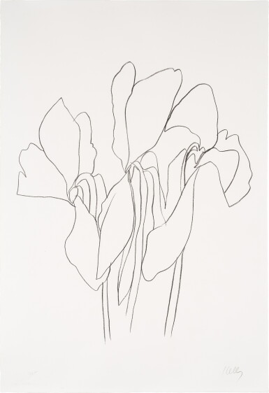 View full screen - View 1 of Lot 64. Cyclamen V, from Suite of Plant Lithographs (A. 40).