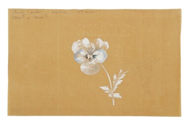 View full screen - View 1 of Lot 38. Drawing of a Pansy Flower.