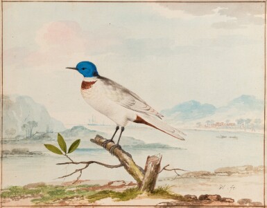 View full screen - View 1 of Lot 109. PIETER HOLSTEYN AND AERT SCHOUMAN | A BLUE HEADED TERN IN AN ESTUARY LANDSCAPE.