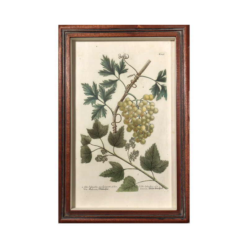 Cover image 0