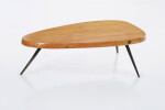 Free-Form Coffee Table