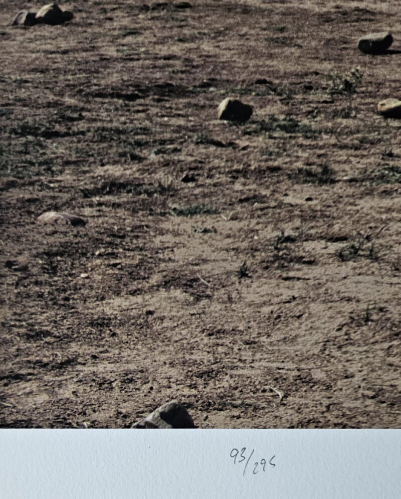 Cover image 0
