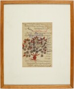 A double-sided illustrated leaf from Khawass al-ashjar (De Materia Medica) by Dioscorides, Mesopotamia, Iraq, 13th century