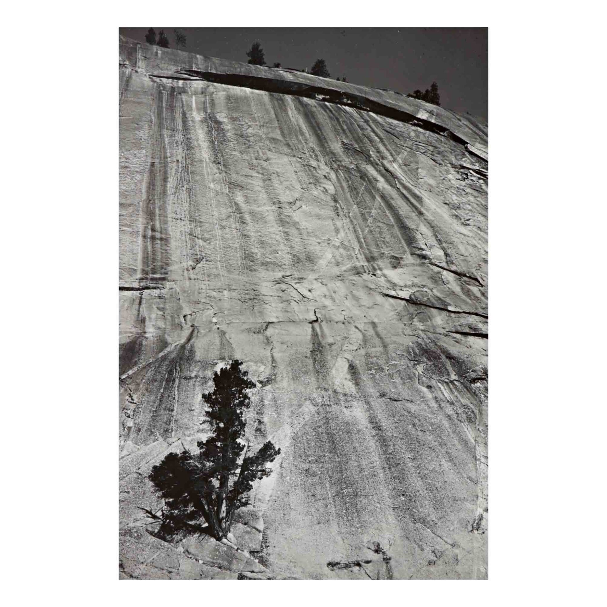 Trespass Jaron Bonnet Gar/çon