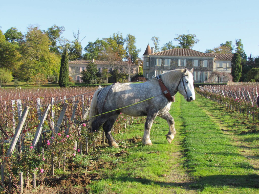 View full screen - View 1 of Lot 41. TROPLONG MONDOT, AN OVERNIGHT STAY: 1 X 3 LITRE TROPLONG MONDOT 2006 WITH VISIT, TASTING & LUNCH .