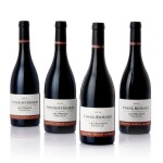 Nuits St. Georges, Les Procès 2015 Arnoux-Lachaux (6 BT)