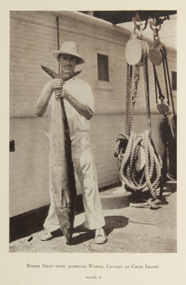 Source: Sotheby's Image