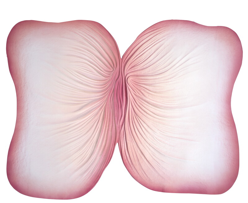 Cover image 0