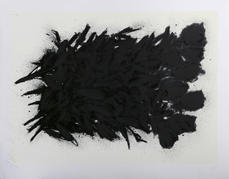 Cover image 0