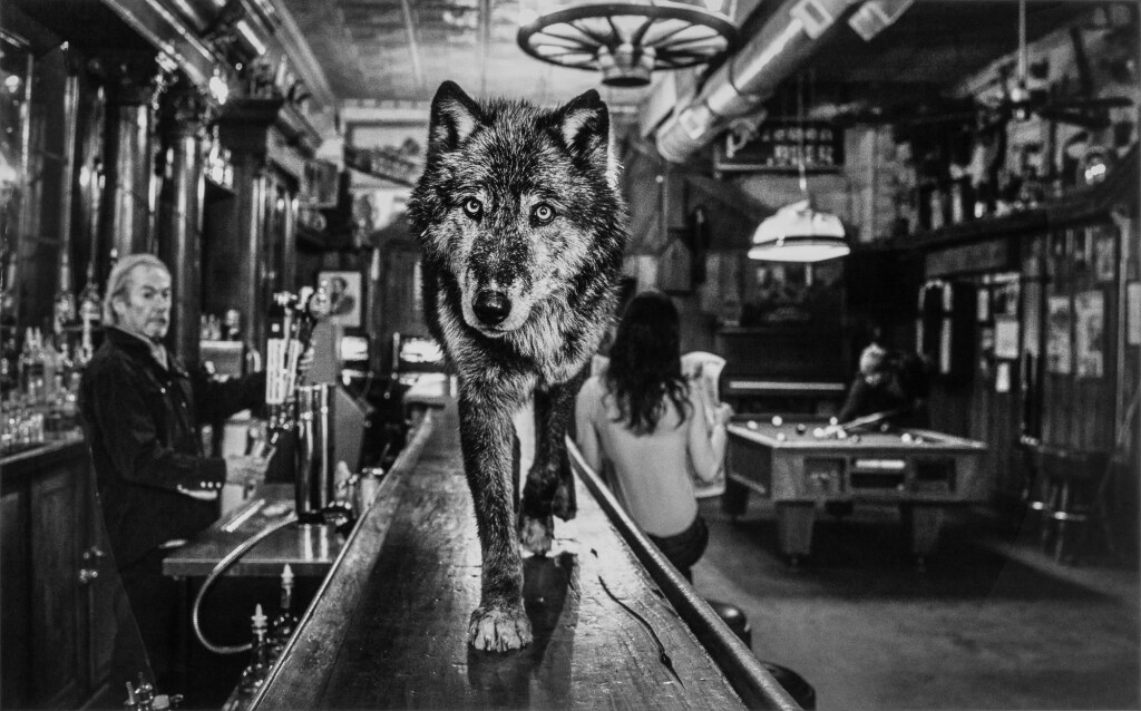 View full screen - View 1 of Lot 194. Wolf of Main Street II.