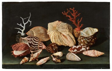 View full screen - View 1 of Lot 21. Still life of shells and coral on a table draped with a green cloth 《靜物:桌上的貝殼與珊瑚,鋪綠色桌布》.