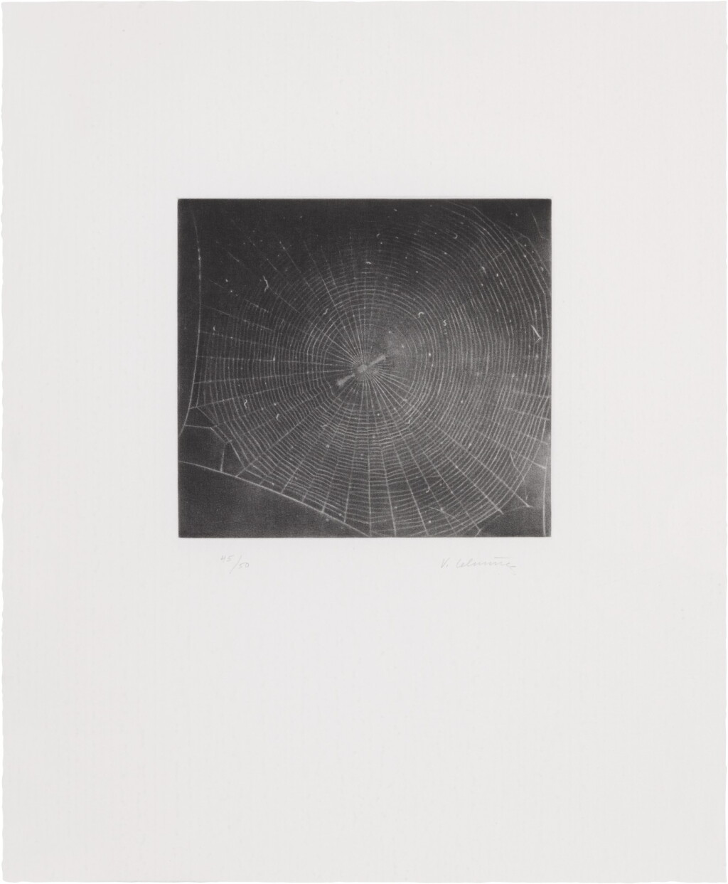 View full screen - View 1 of Lot 222. VIJA CELMINS | UNTITLED (WEB 2).