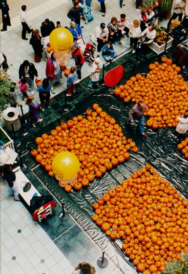 View full screen - View 1 of Lot 131. Mall of America, Pumpkins.