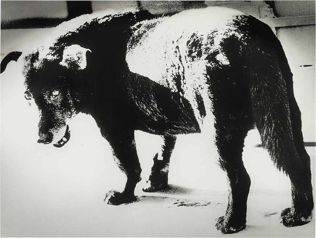 View full screen - View 1 of Lot 1034. DAIDO MORIYAMA 森山大道 | MISAWA .