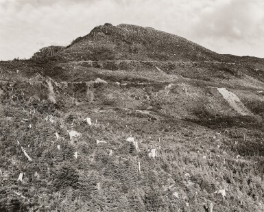 View full screen - View 1 of Lot 97. 'Clearcut & Burned, East of Arch Cape, Oregon'.