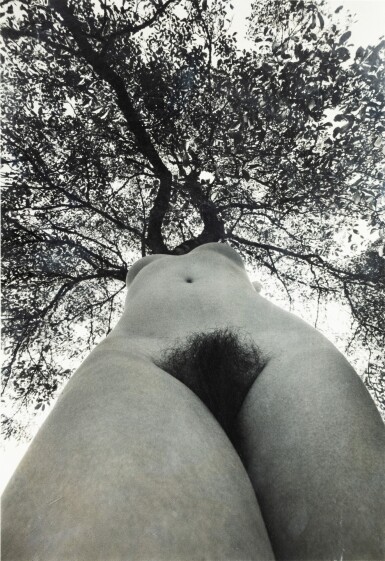 View full screen - View 1 of Lot 156. Nu de la Forêt.