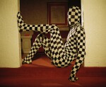 Untitled (Zentai), 2017