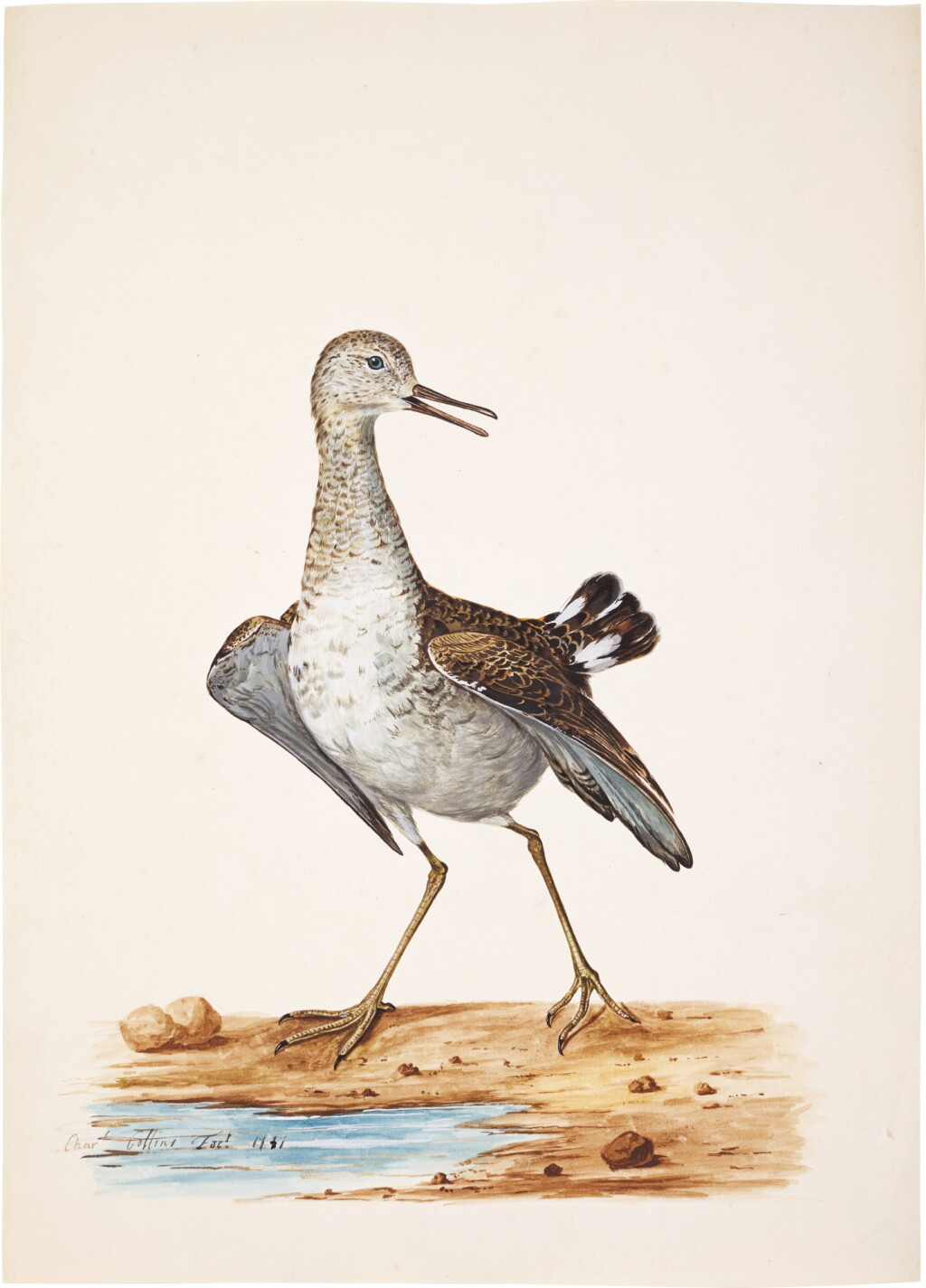 View full screen - View 1 of Lot 160. A Wading Bird.