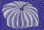 Yayoi Kusama 草間彌生 | Pumpkin 南瓜