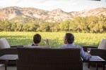 Visit Napa Valley & Napa Valley Vintners | Where World-Class Soccer Meets World-Class Wine