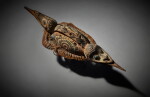 Iatmul Head Ornament, Middle Sepik River, East Sepik Province, Papua New Guinea