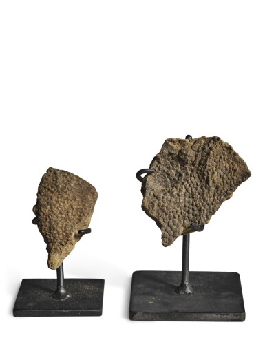 View full screen - View 1 of Lot 11. The Fossilized Skin Impressions of an Edmontosaurus.