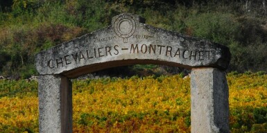 View full screen - View 1 of Lot 14. Wine & Experience | Jean Chartron, Chevalier-Montrachet, Clos des Chevaliers, Monopole 2016 (1 MAG).
