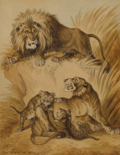 View full screen - View 1 of Lot 246. A Lion, Lioness and two cubs.