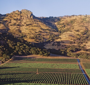 View full screen - View 1 of Lot 473. Stag's Leap Wine Cellars, Cabernet Sauvignon, Cask 23 2017 (6 BT).