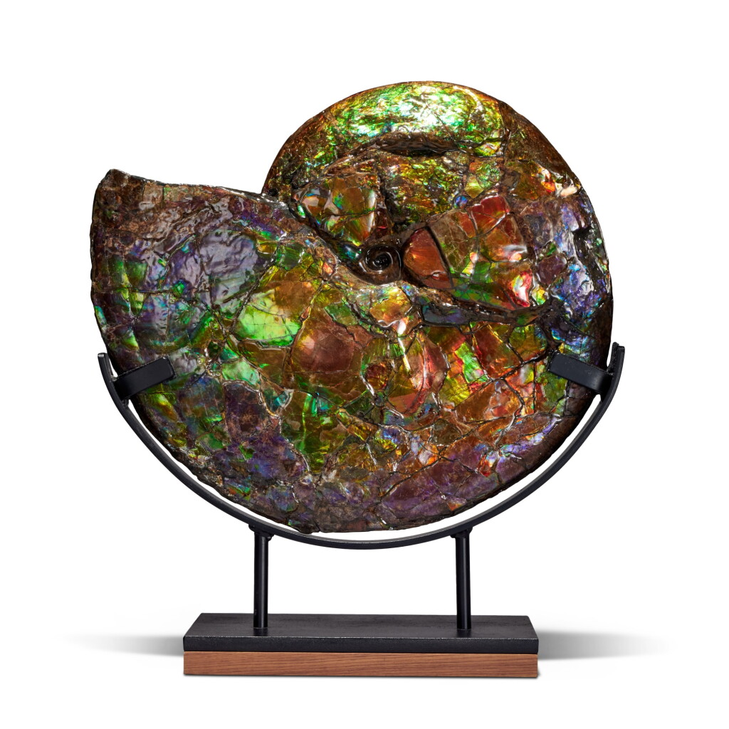 View full screen - View 1 of Lot 21. Large Iridescent Ammonite.