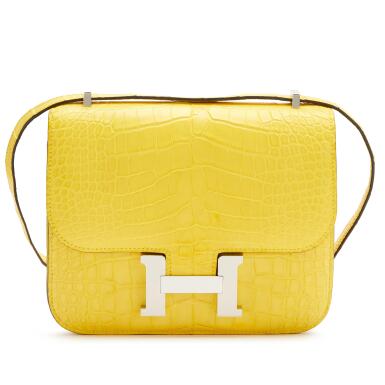 View full screen - View 1 of Lot 92. Mimosa Matte Mississippienisis Alligator Mini Constance 18 Palladium Hardware, 2023.