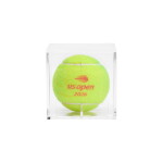 Aryna Sabalenka v. Alex Nosková 2026 US Open Quarterfinal Match Point Tennis Ball | Set 3