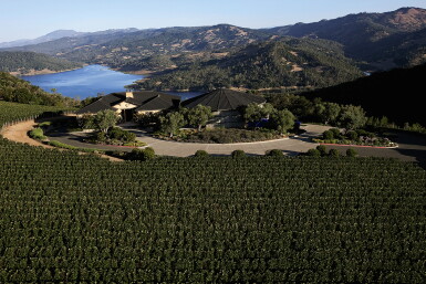 View full screen - View 1 of Lot 1717. Colgin Cellars IX Estate Syrah 2013 (3 BT).