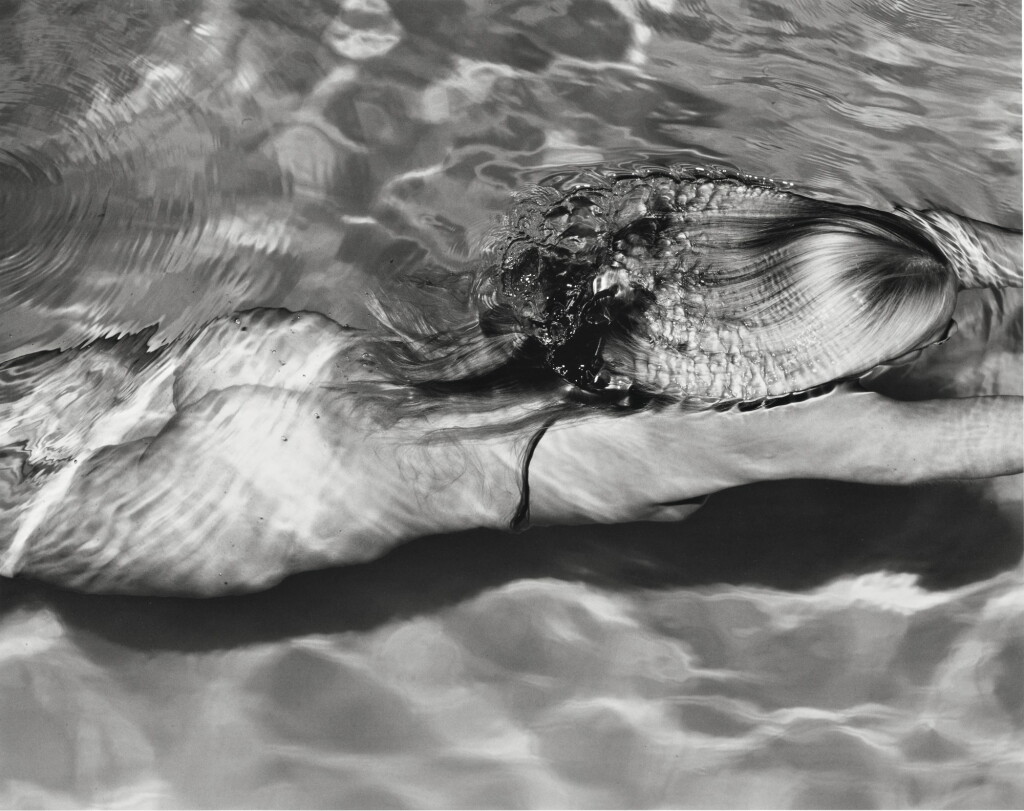 View full screen - View 1 of Lot 48. MICHAEL DWECK | 'MERMAID #1'.