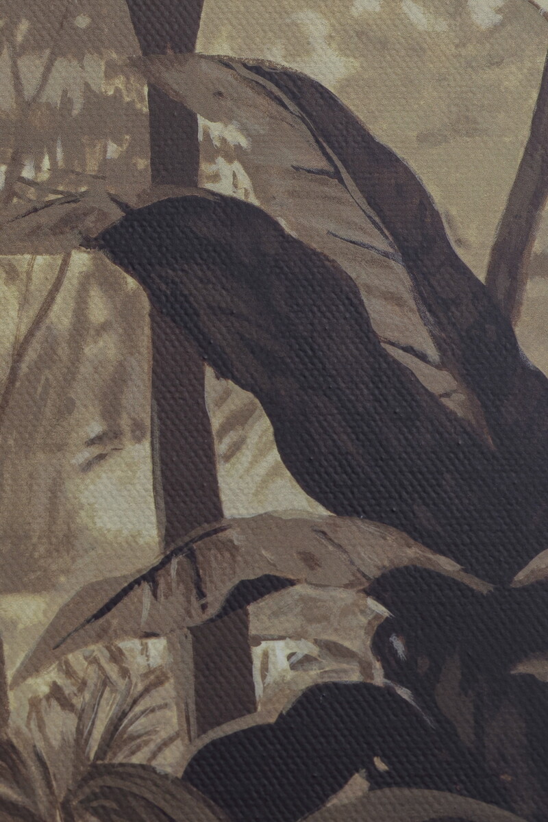Cover image 0