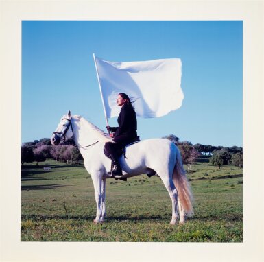 View full screen - View 1 of Lot 10. The Hero.