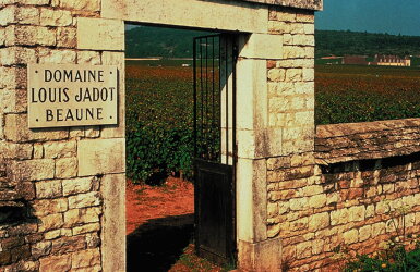 View full screen - View 1 of Lot 368. Chevalier Montrachet, Les Demoiselles 2018 Louis Jadot (1 BT).