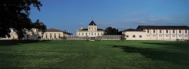 View full screen - View 1 of Lot 582. Château Brane Cantenac 2010 (1 DM).