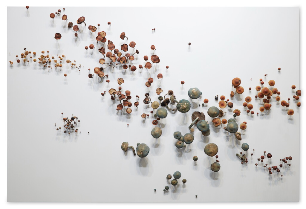 View full screen - View 1 of Lot 57. Untitled (Mushrooms).
