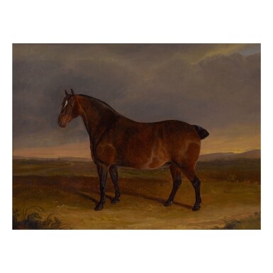 View full screen - View 1 of Lot 156. CIRCLE OF BENJAMIN HERRING SNR. | A DARK BAY COB IN A LANDSCAPE.