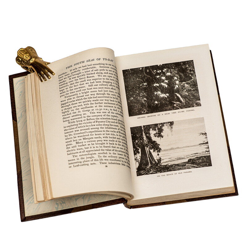 Cover image 0