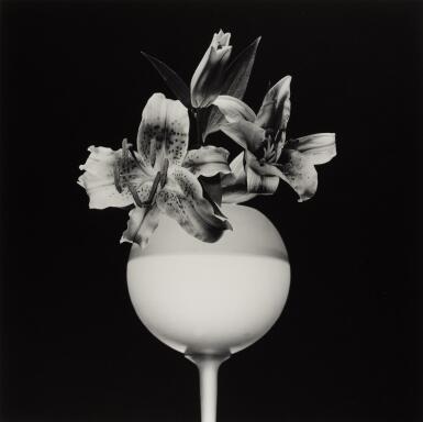 View full screen - View 1 of Lot 36. ROBERT MAPPLETHORPE | 'TIGER LILY', 1987.